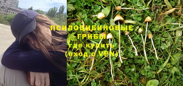 ALPHA PVP Алексин