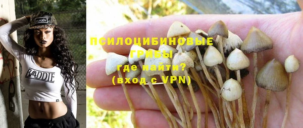 ALPHA PVP Алексин